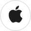 Apple Vision Pro logo